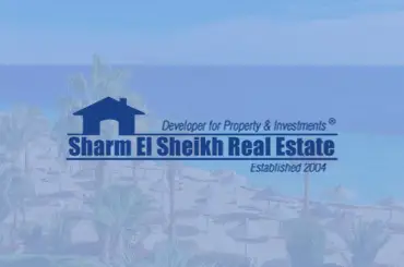 Sharm el sheikh real estate Website Speaks Arabic  